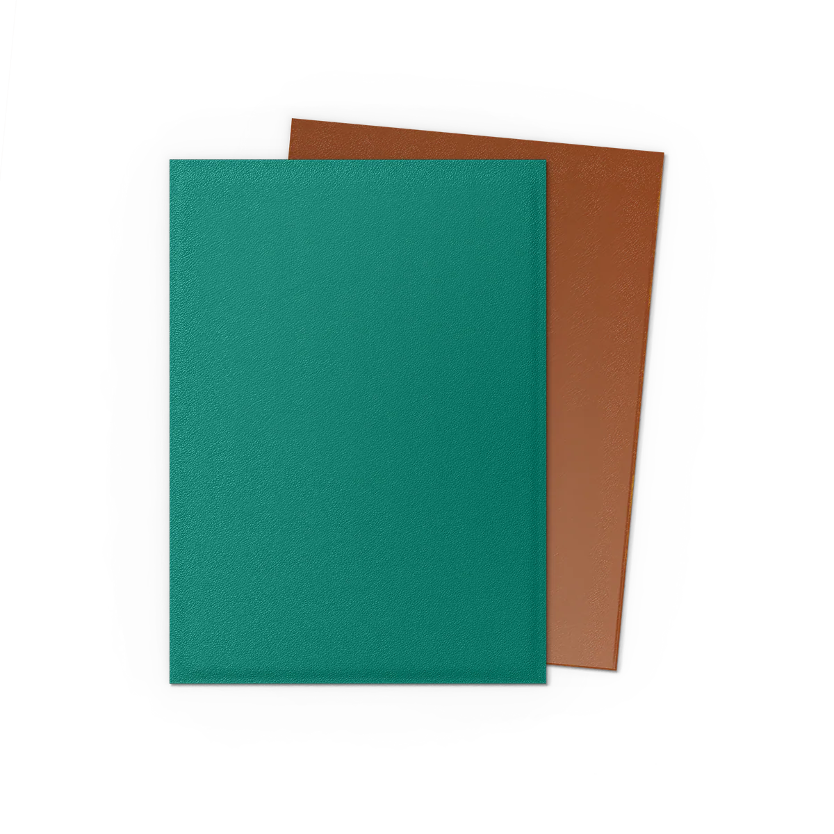Dragon Shield Dual Matte Standard Size