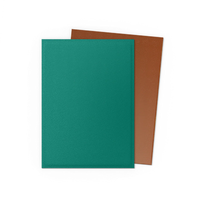 Dragon Shield Dual Matte Standard Size