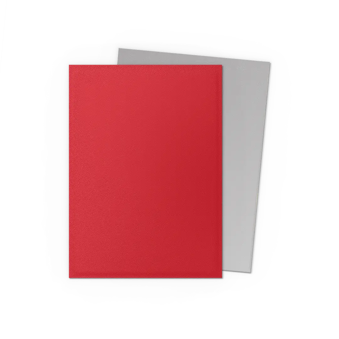 Dragon Shield Dual Matte Standard Size