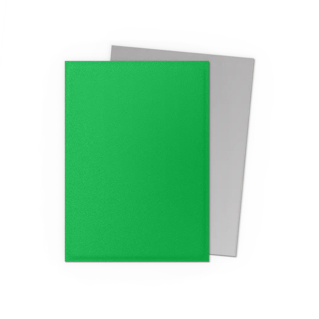 Dragon Shield Dual Matte Standard Size