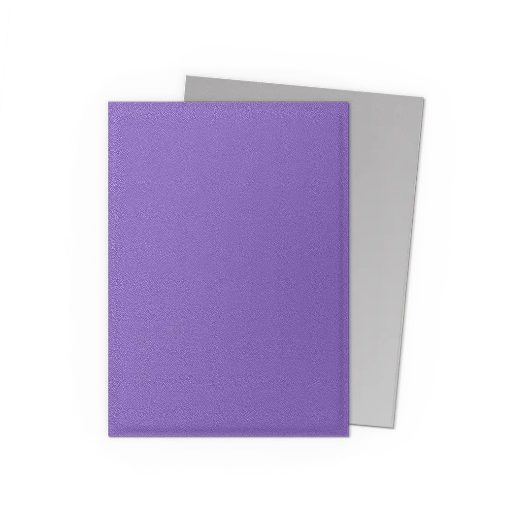 Dragon Shield Dual Matte Standard Size